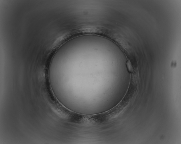 X0000089370207200707131644