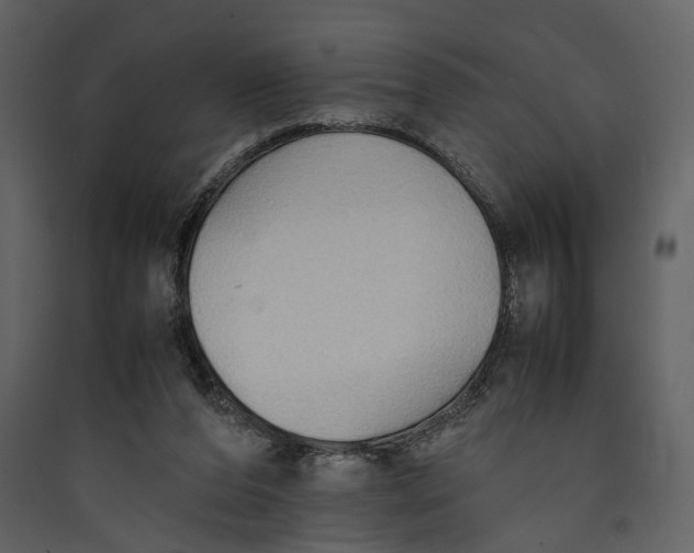 X0000089370208200707131644