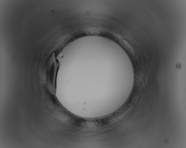 X0000089370209200707131644