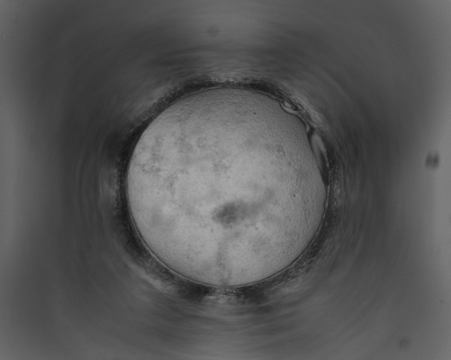 X0000089370211200707131644