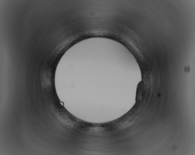 X0000089370212200707131644