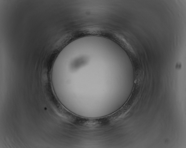 X0000089370213200707131644