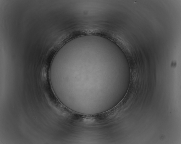 X0000089370214200707131644