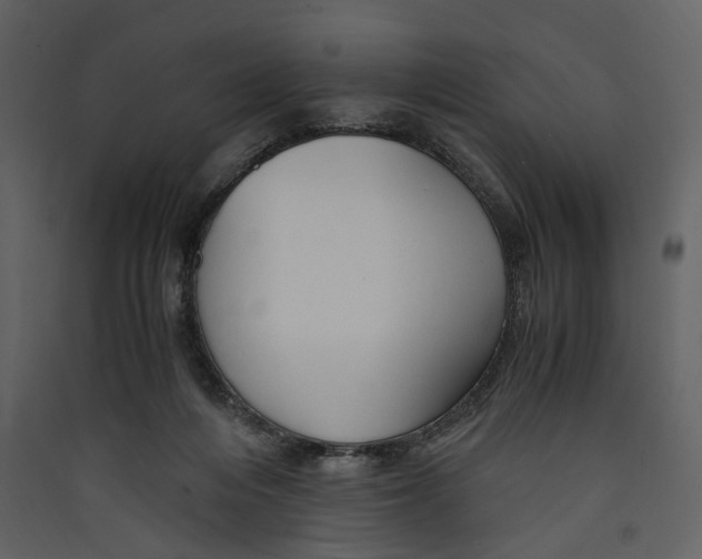 X0000089370216200707131644