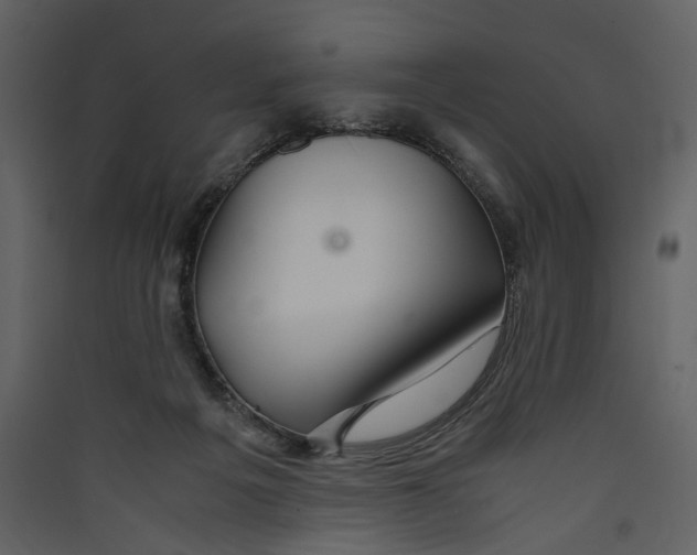 X0000089370217200707131644