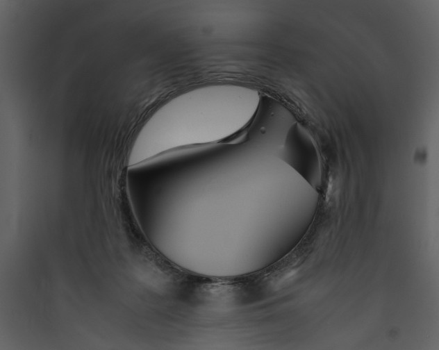 X0000089370219200707131644