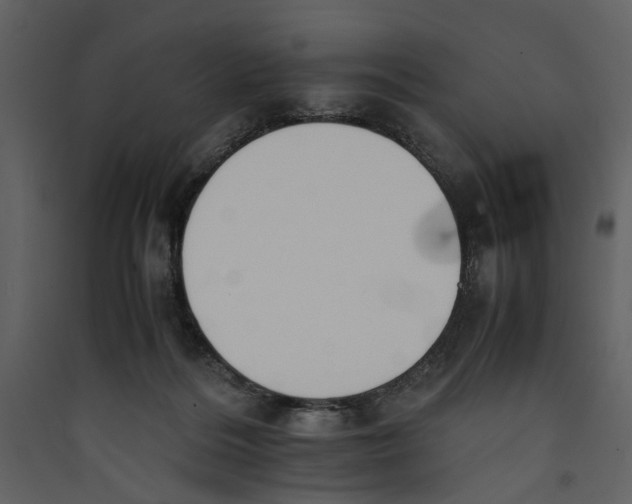 X0000089370220200707131644