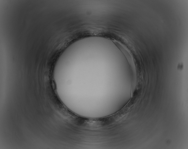 X0000089370221200707131644