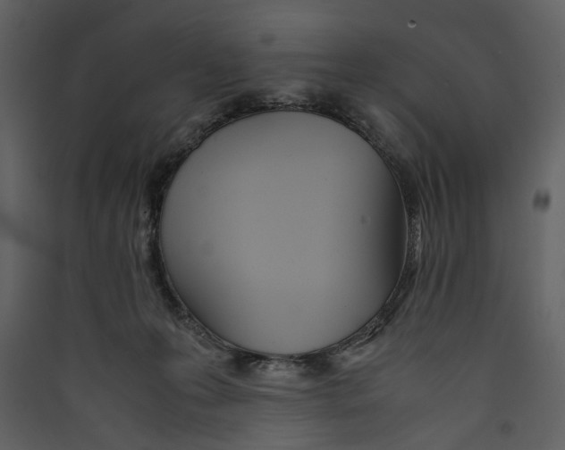 X0000089370223200707131644