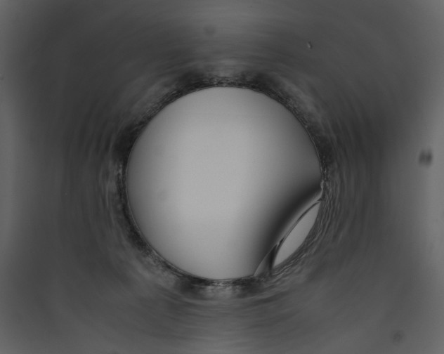 X0000089370225200707131643