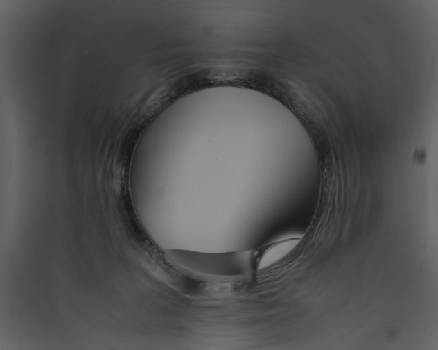 X0000089370227200707131643