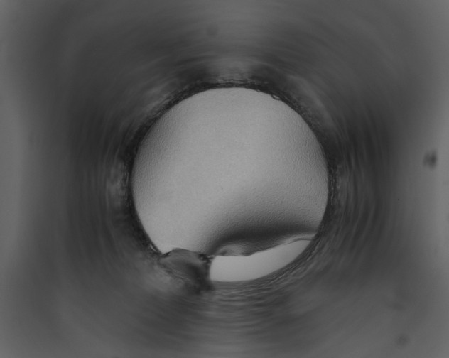 X0000089370228200707131643