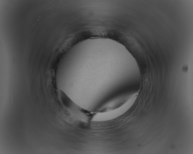 X0000089370229200707131643