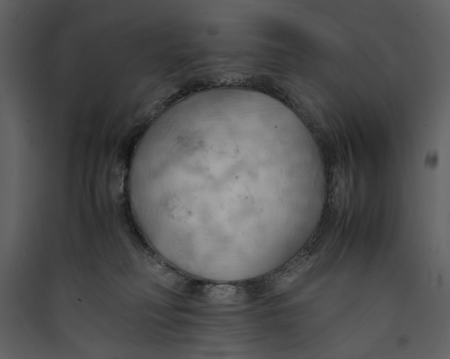 X0000089370230200707131643