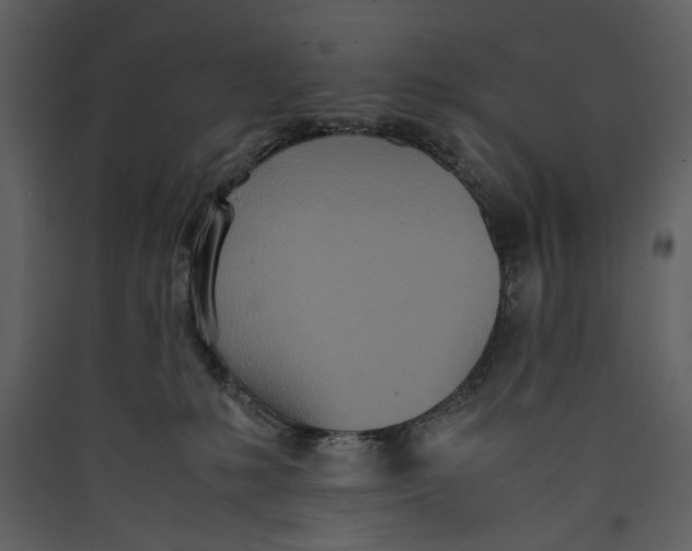 X0000089370231200707131643