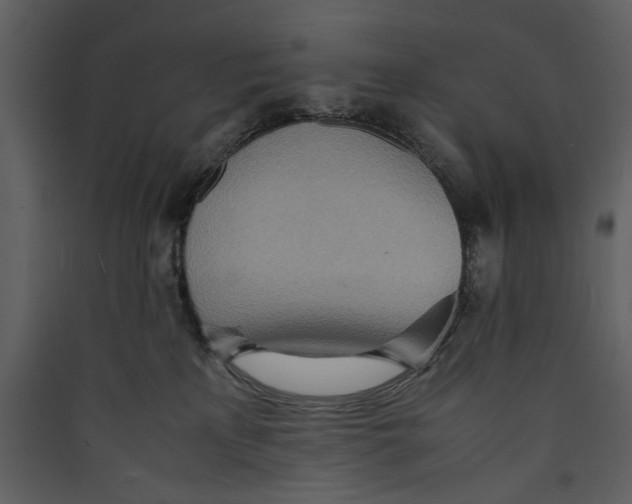 X0000089370233200707131643