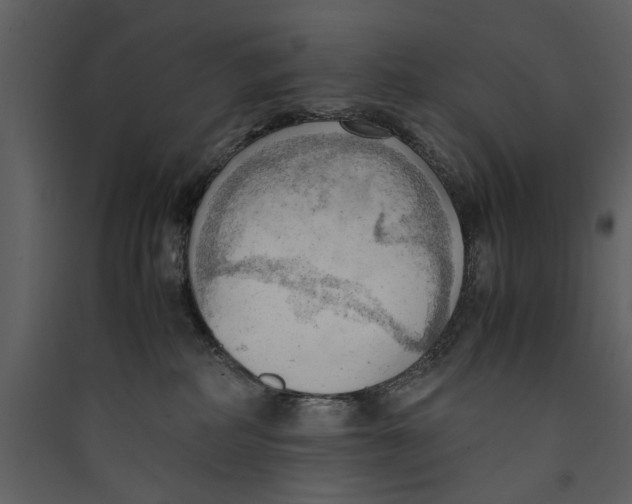 X0000089370234200707131643