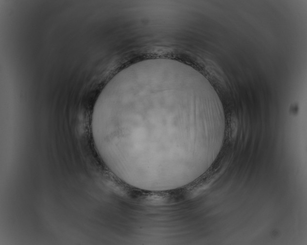 X0000089370236200707131643