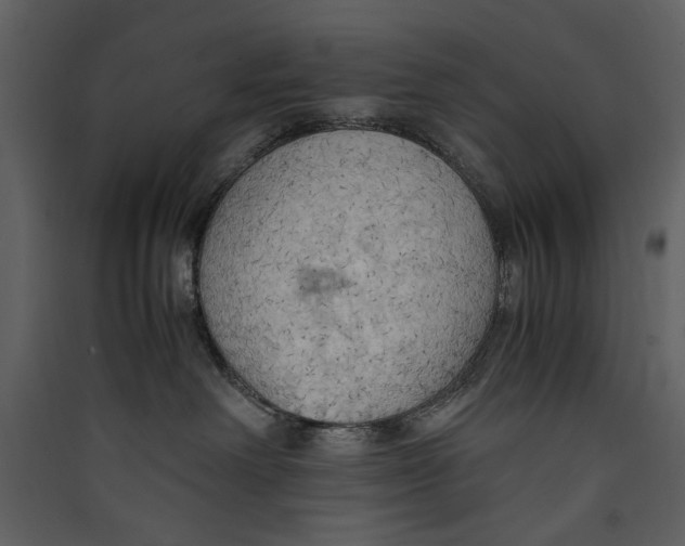 X0000089370238200707131643