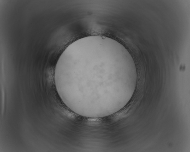 X0000089370240200707131643