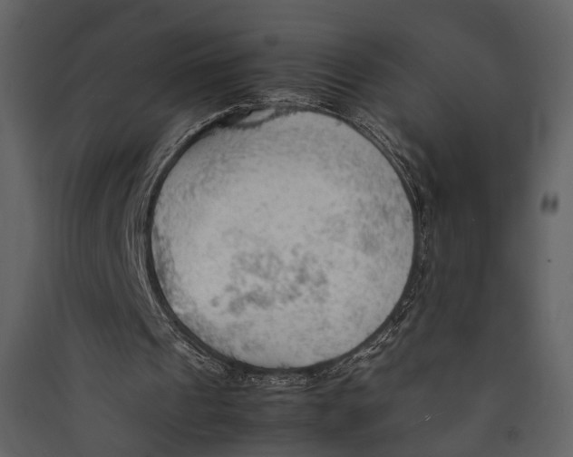 X0000089370241200707131643