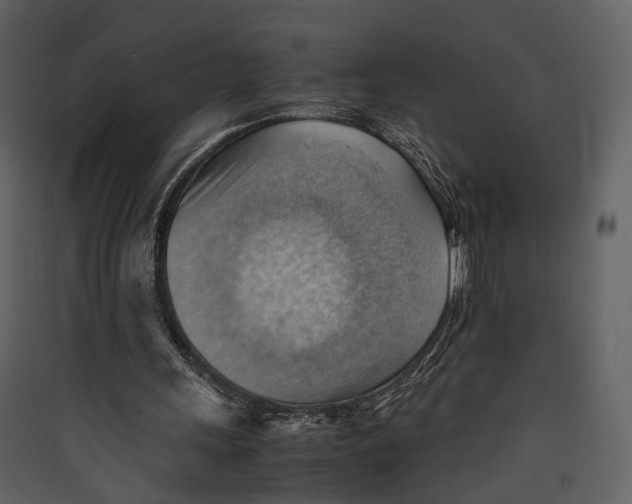 X0000089370243200707131643