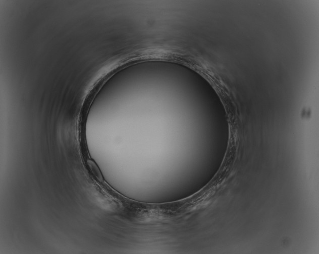 X0000089370244200707131643