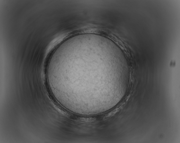 X0000089370245200707131643