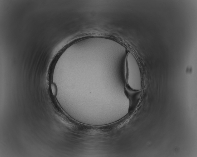 X0000089370246200707131643