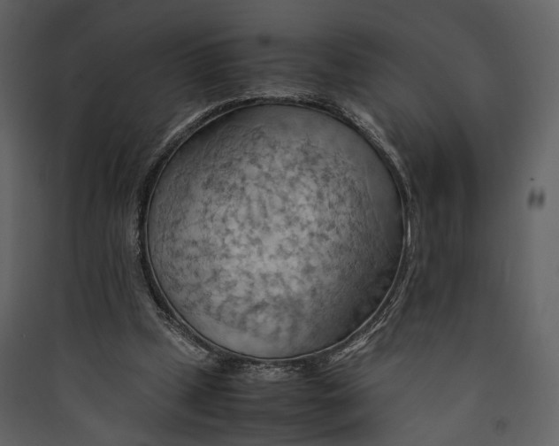 X0000089370249200707131643