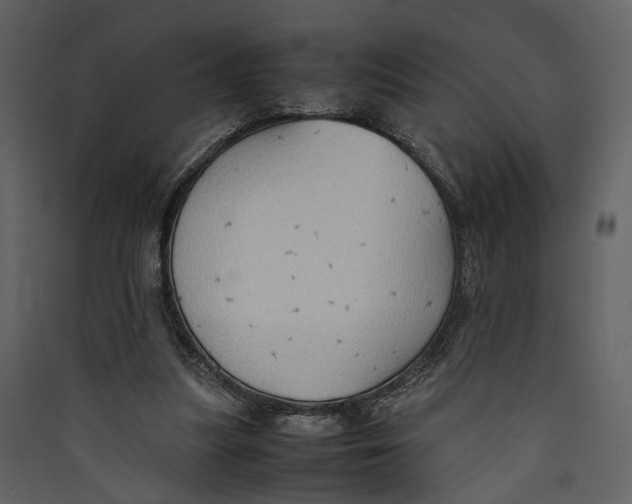 X0000089370251200707131643