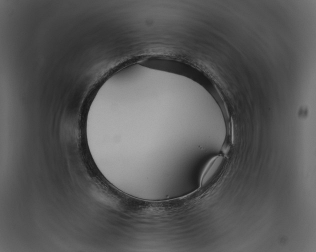 X0000089370252200707131643