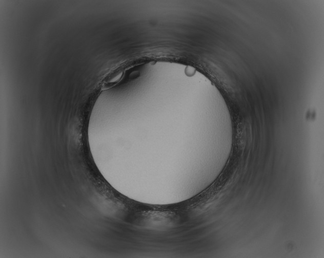 X0000089370255200707131643