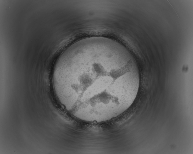 X0000089370258200707131643