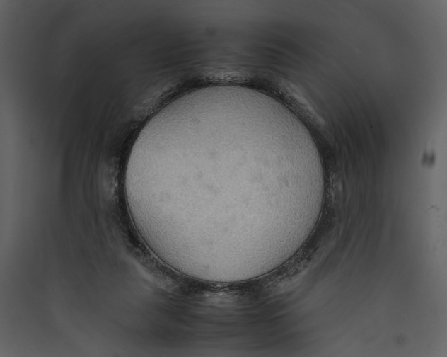 X0000089370259200707131643