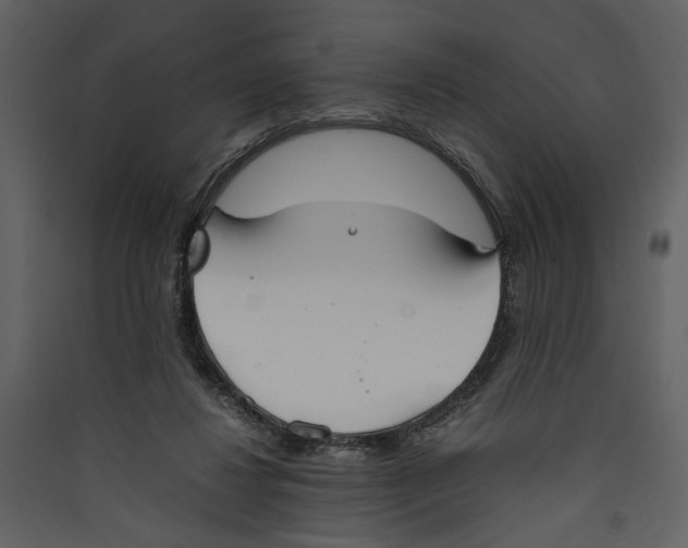 X0000089370260200707131643