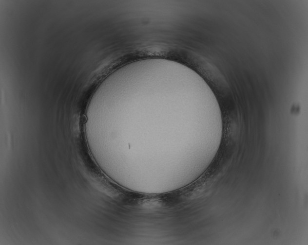 X0000089370262200707131643