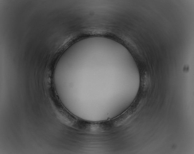 X0000089370264200707131643