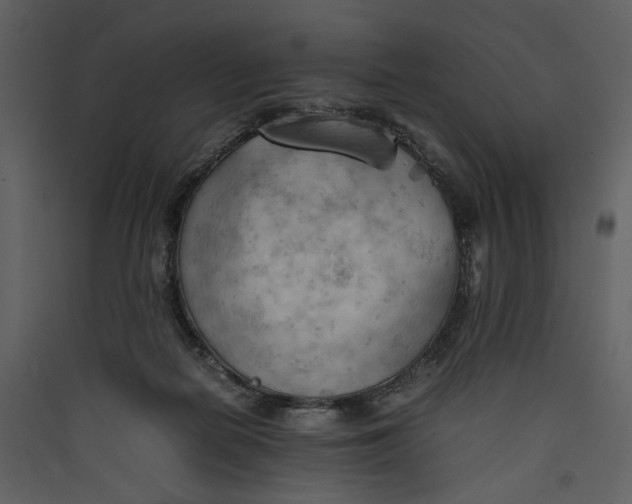 X0000089370266200707131643