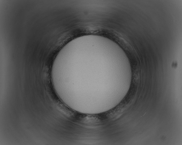 X0000089370270200707131643