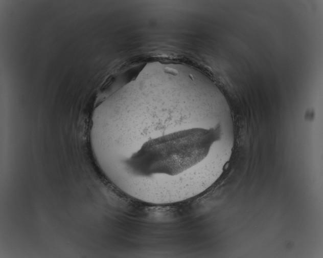 X0000089370273200707131643