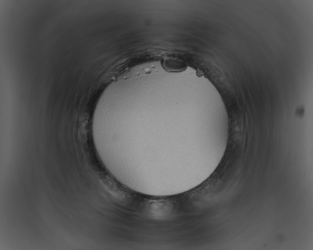 X0000089370275200707131643