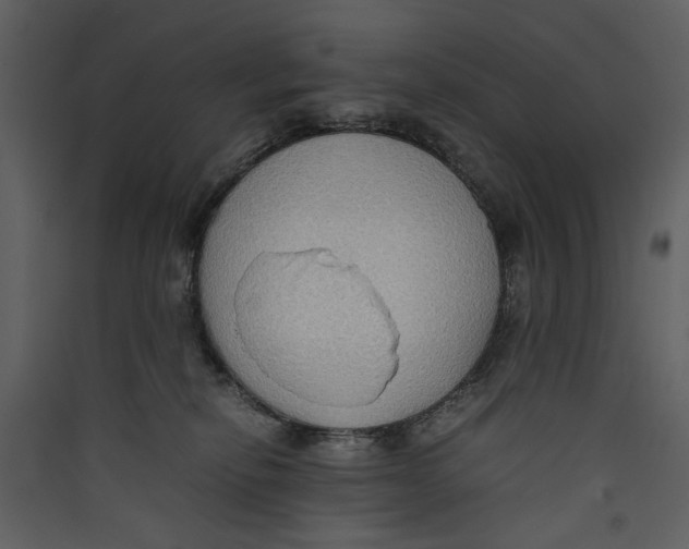 X0000089370278200707131643