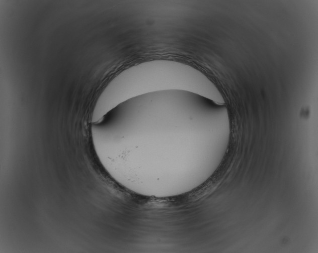 X0000089370280200707131643