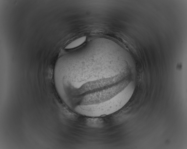 X0000089370281200707131643