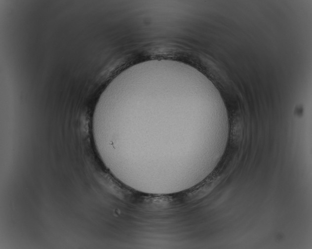 X0000089370282200707131643