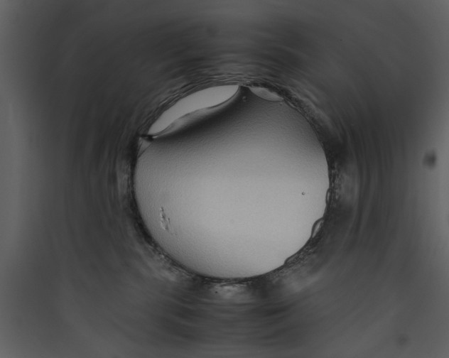 X0000089370283200707131643