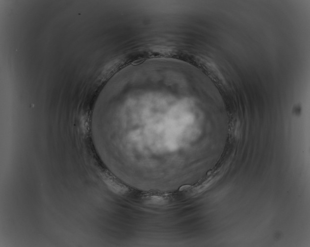 X0000089370285200707131643