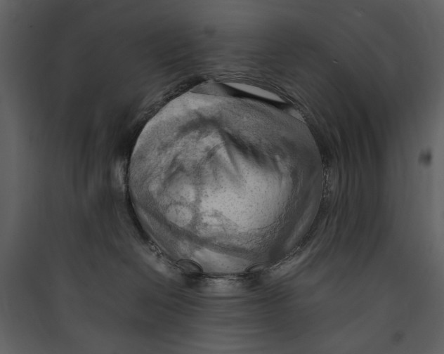 X0000089370286200707131643