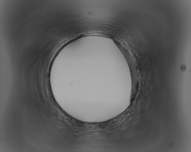 X0000089370289200707131643